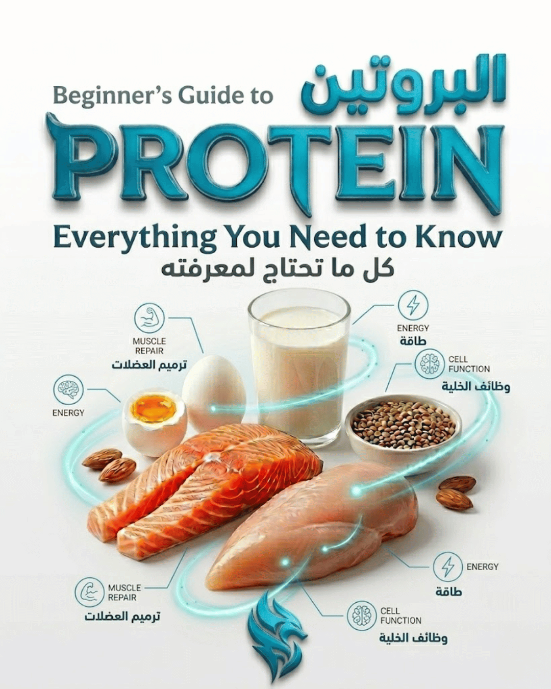 Beginner’s Guide to Protein: Everything You Need to Know