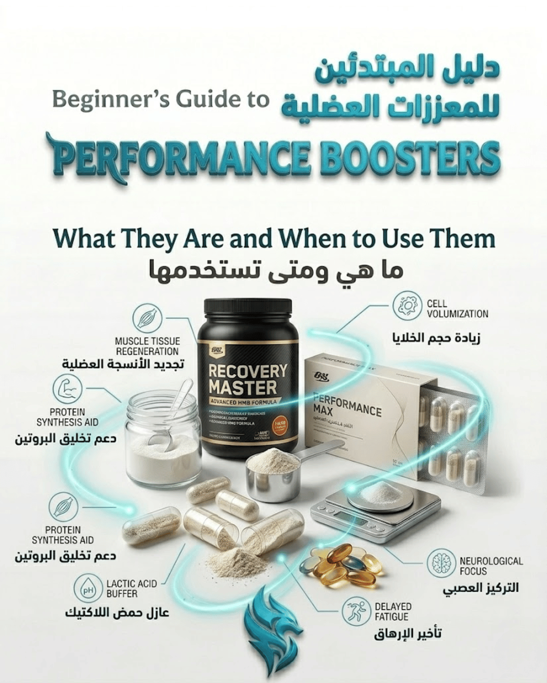 Home Beginner’s Guide to Performance Boosters: What Works for Muscle Growth and Recovery